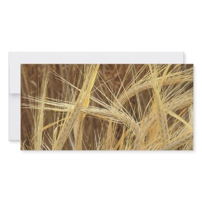 Barley Personalized Photo Card by GPArkive