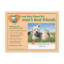 BarleyLife for Pets Postcard