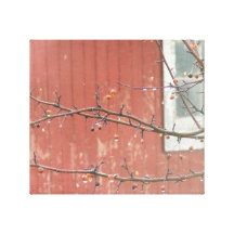 Barn and Berries Stretched Canvas Print