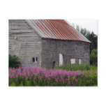 Barn and Wildflowers Post Cards