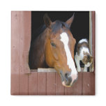 Barn Buddies Magnet