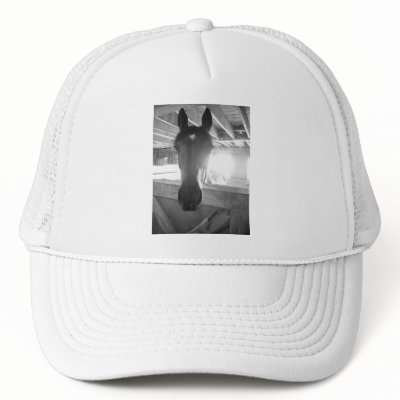 Barn Horse/Black & White Photography Hat by Incatneato