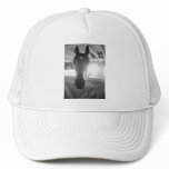 Barn Horse/Black & White Photography hats