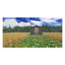 Barn in Wheat Field Photo Card