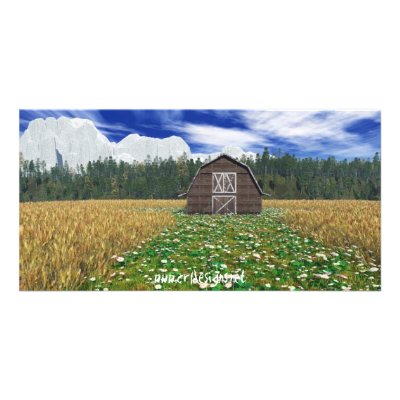 Barn in Wheat Field Photo Card by CRLDesigns_net