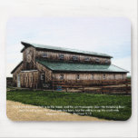 barn moursepad - coloured pencil