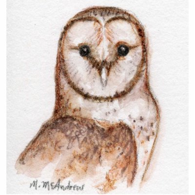Barn Owl 3D Sculpture Acrylic Cut Out by MaryMcandrew