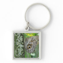 Barn Owl Butterfly Keychain