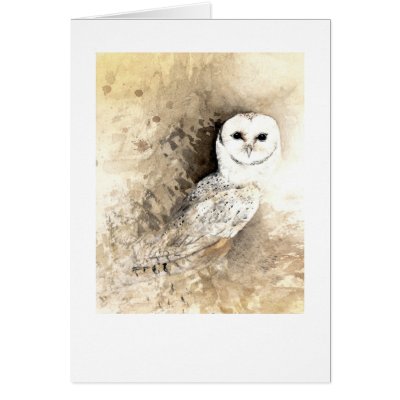 Barn Owl Greeting Card by James_Falconer