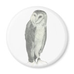 Barn Owl | Customisable