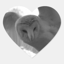 Barn Owl Heart Stickers