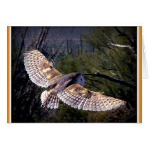 Barn Owl in Flight Greeting Card