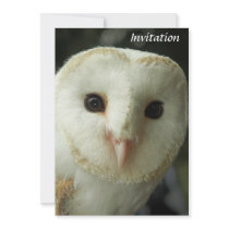 Barn Owl Invitation