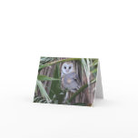 Barn Owl – Joe Sweeney – card