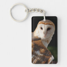 Barn Owl keychain