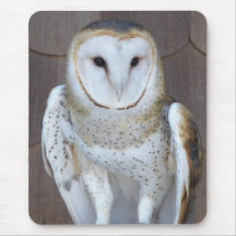 Barn Owl Mousepad