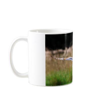 Barn Owl Mugs by WildlifeUK