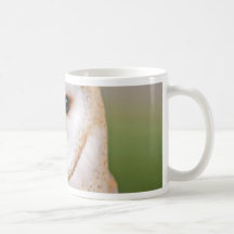 Barn Owl Portrait Coffee Mugs