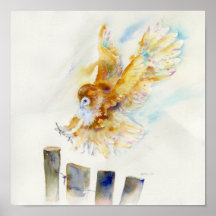 Barn Owl Posters