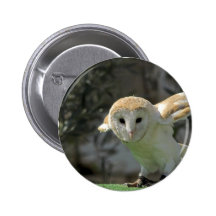 Barn Owl Round Button