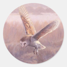 Barn Owl Round Stickers 