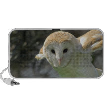 Barn Owl Speakers