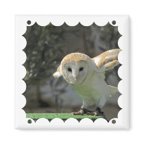 Barn Owl Square Magnet 