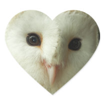 Barn Owl Stickers