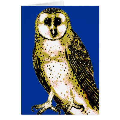 Barn Owl Tshirts, Hoodies, Mugs, Buttons Greeting Cards by greenbaby