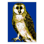 Barn Owl Tshirts, Hoodies, Mugs, Buttons cards