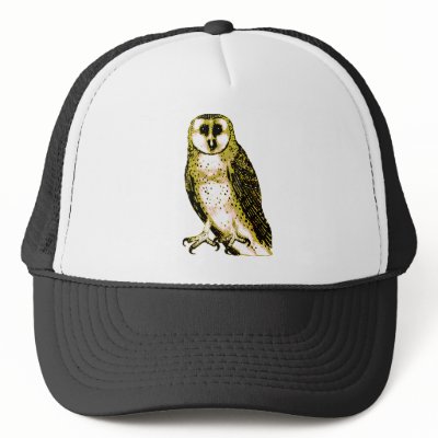 Barn Owl Tshirts, Hoodies, Mugs, Buttons Mesh Hats by greenbaby