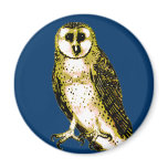 Barn Owl Tshirts, Hoodies, Mugs, Buttons magnets