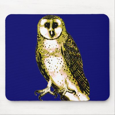 Barn Owl Tshirts, Hoodies, Mugs, Buttons Mouse Mats by greenbaby