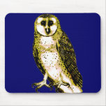 Barn Owl Tshirts, Hoodies, Mugs, Buttons mousepads