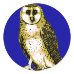 Barn Owl Tshirts, Hoodies, Mugs, Buttons stickers