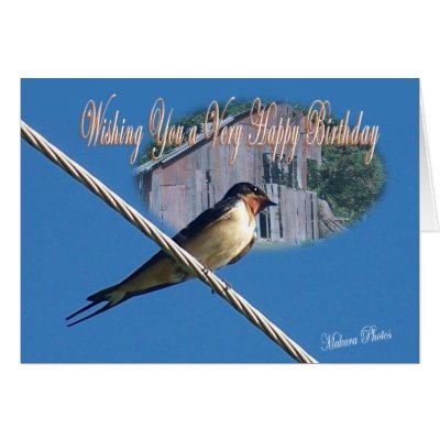 Barn Swallow Bday Card by MakaraPhotos