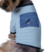 Barn swallow dog shirt