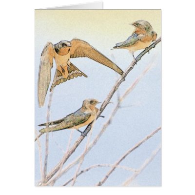Barn Swallow Family Greeting Card by OiseauDesigns