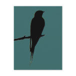 Barn Swallow green Postcard