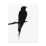 Barn Swallow male Postcard