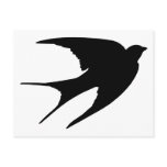 Barn Swallow Post Card