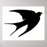 Barn Swallow Posters