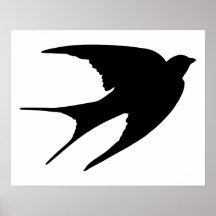 Barn Swallow Posters