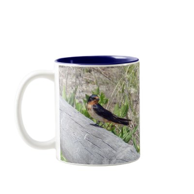 Barn Swallow Series Coffee Mugs by CarolsCamera