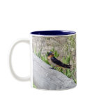 Barn Swallow Series mugs