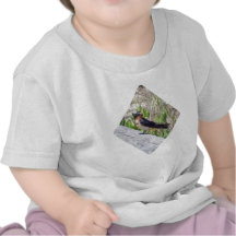 Barn Swallow Series T-shirts