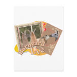 BARN YARD LOVE - LLAMAS KISSING POSTCARD