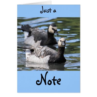Barnacle Duet Greeting Card by Welshpixels