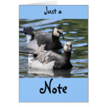 Barnacle Duet cards