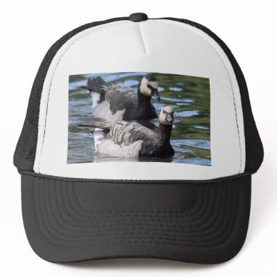 Barnacle Duet Hat by Welshpixels